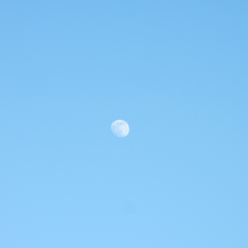午後からは白い月！２０１５年６月２９日（月）の空の写真 (4)