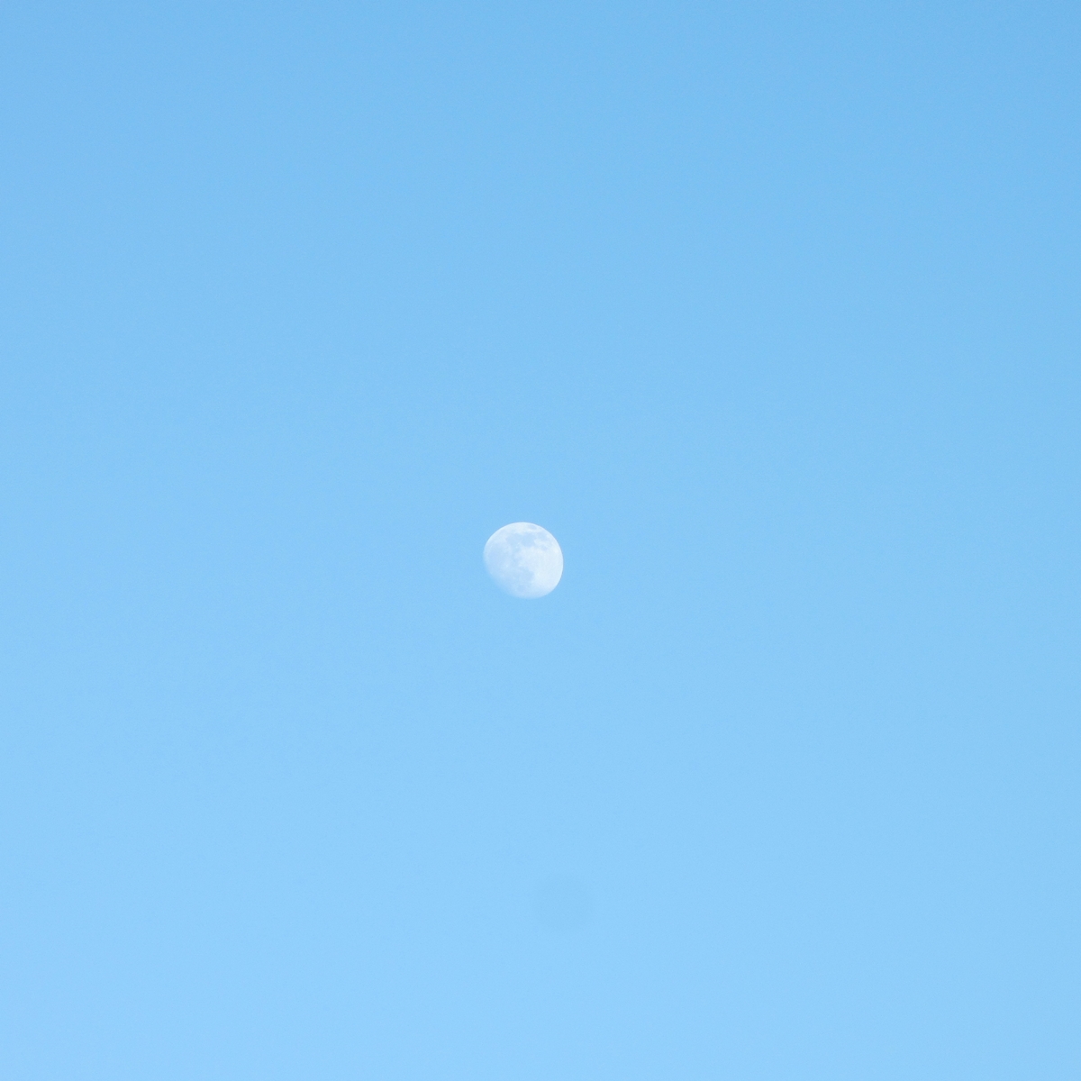 午後からは白い月！２０１５年６月２９日（月）の空の写真 (4)