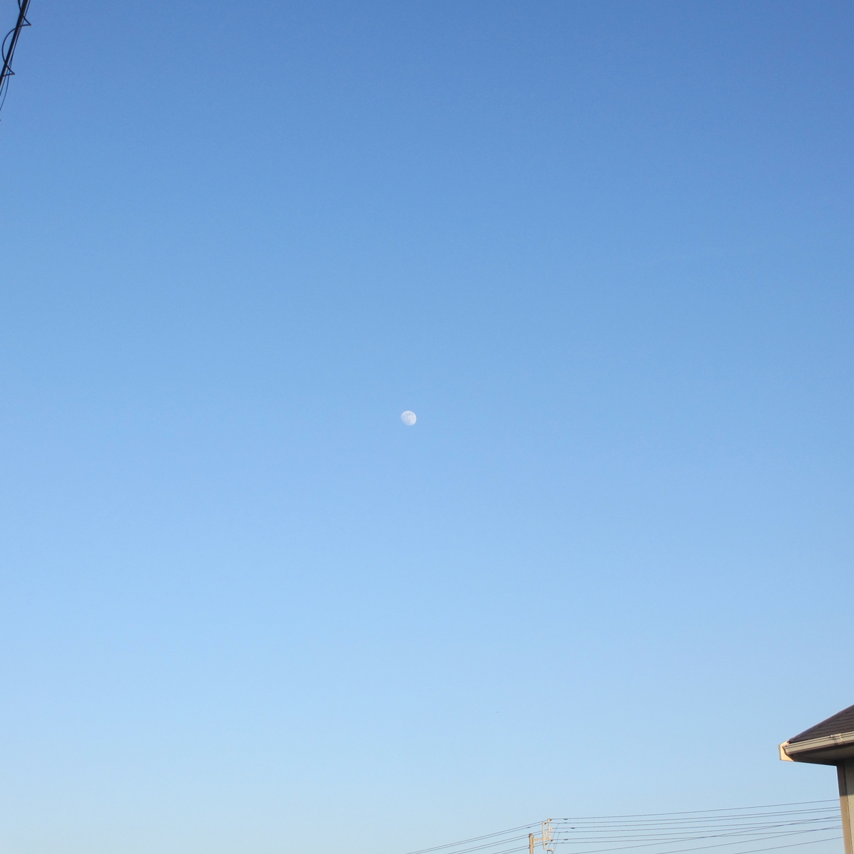 午後からは白い月！２０１５年６月３０日（火）の空の写真 (4)