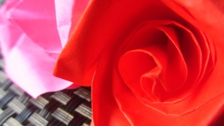 折り紙で作ったバラの無料写真