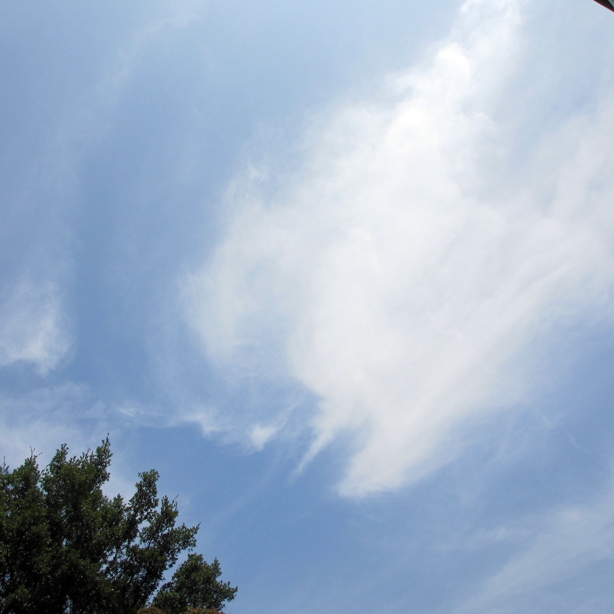 今日は一日良い天気！２０１５年６月２４日（水）の空の写真-02