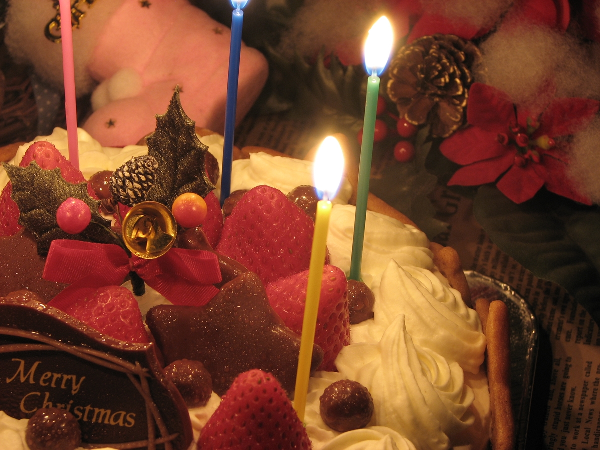 クリスマスケーキ (3)
