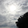 ムシムシと暑い！２０１５年７月１２日（日）今日の空の写真