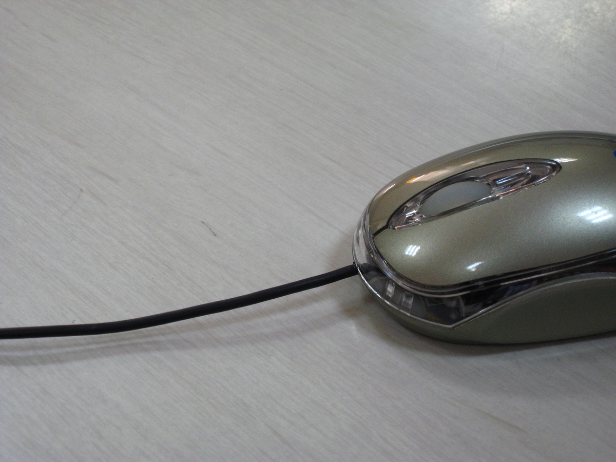 マウス20080108 (5)