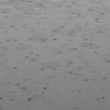【モノクロ】雨の日の土曜日の無料写真