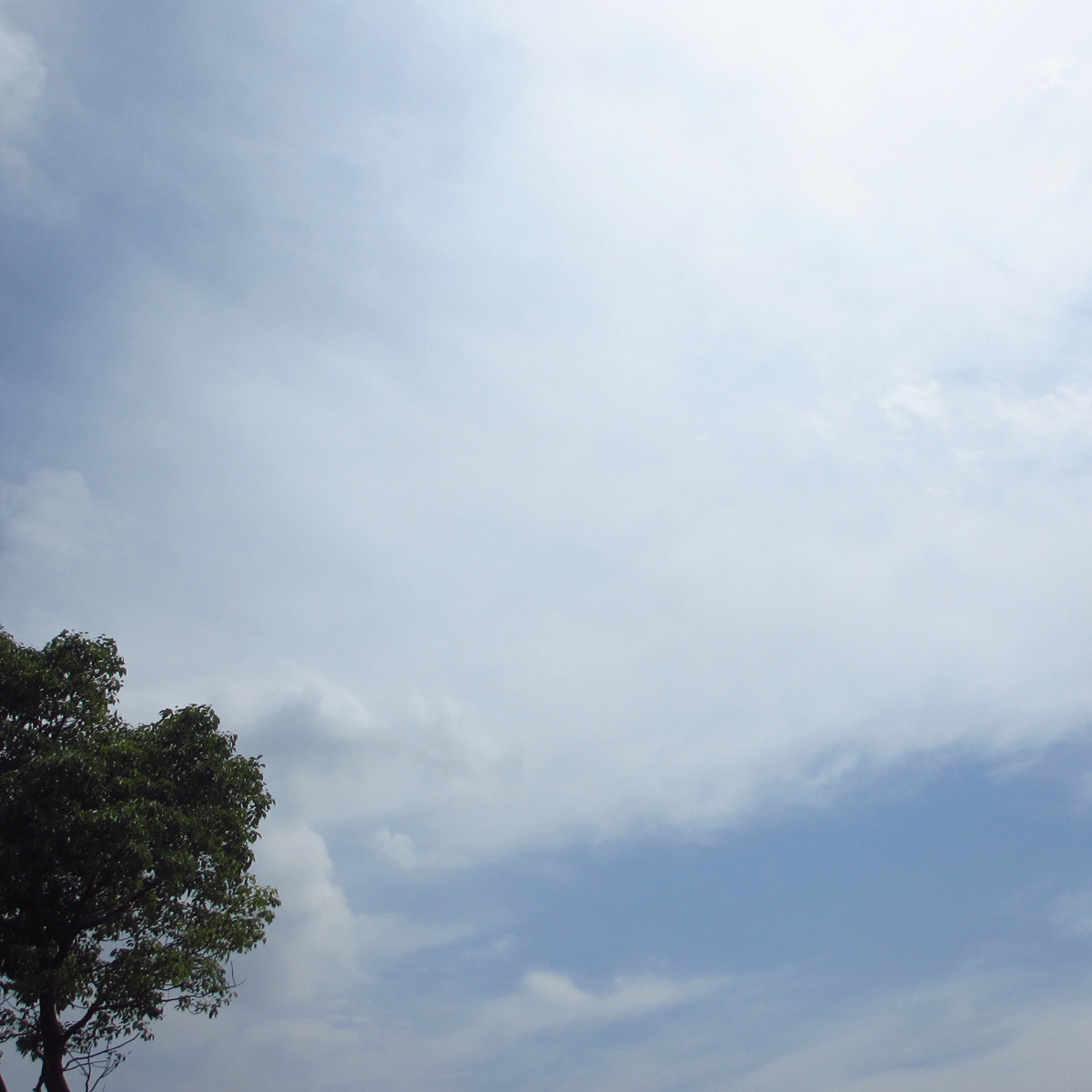 晴れ空！２０１５年７月２日（木）の空の写真 (2)