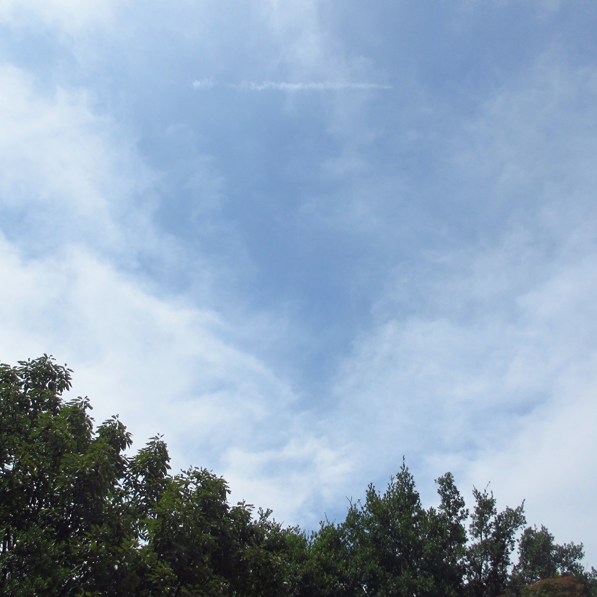 晴れ空！２０１５年７月２日（木）の空の写真 (3)