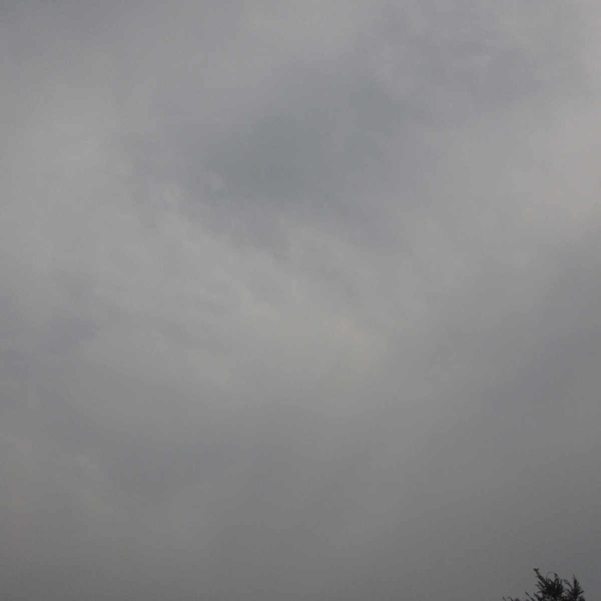 曇り日！２０１５年７月３日（金）の空の写真 (3)